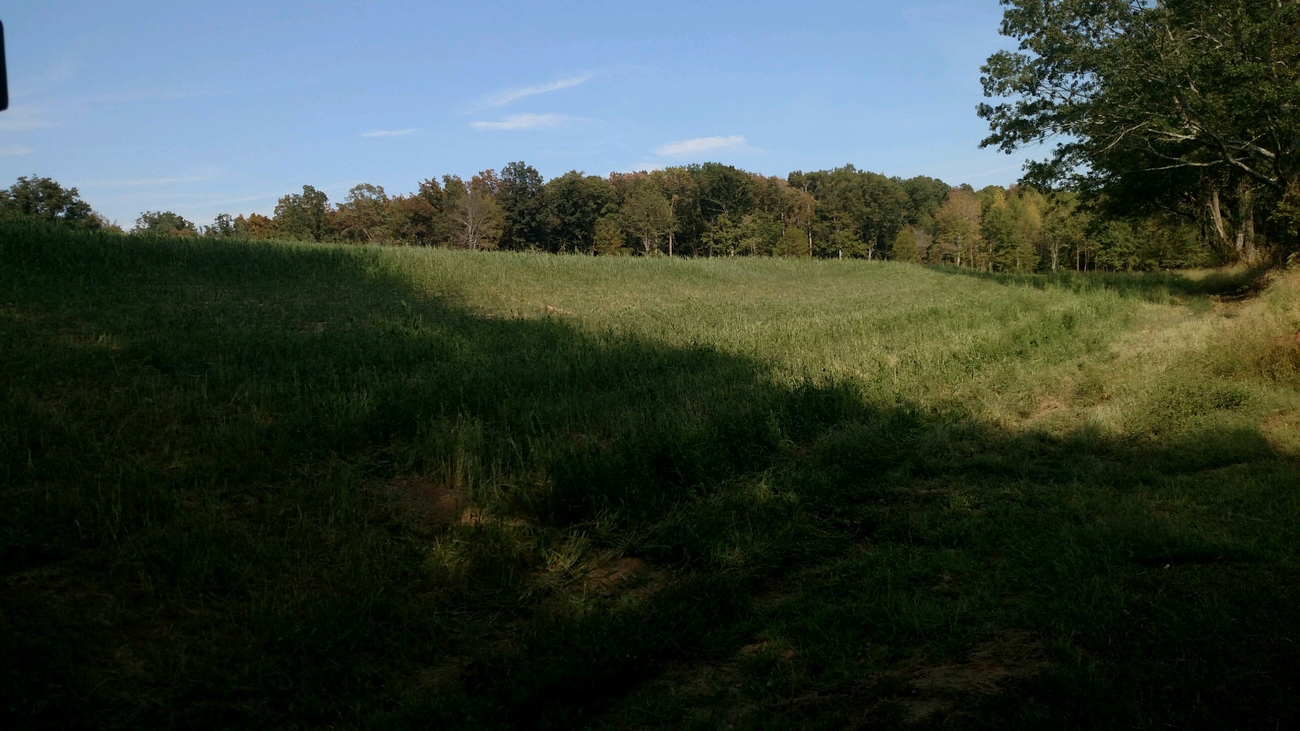 Hydroseeded a dam in North Alabama