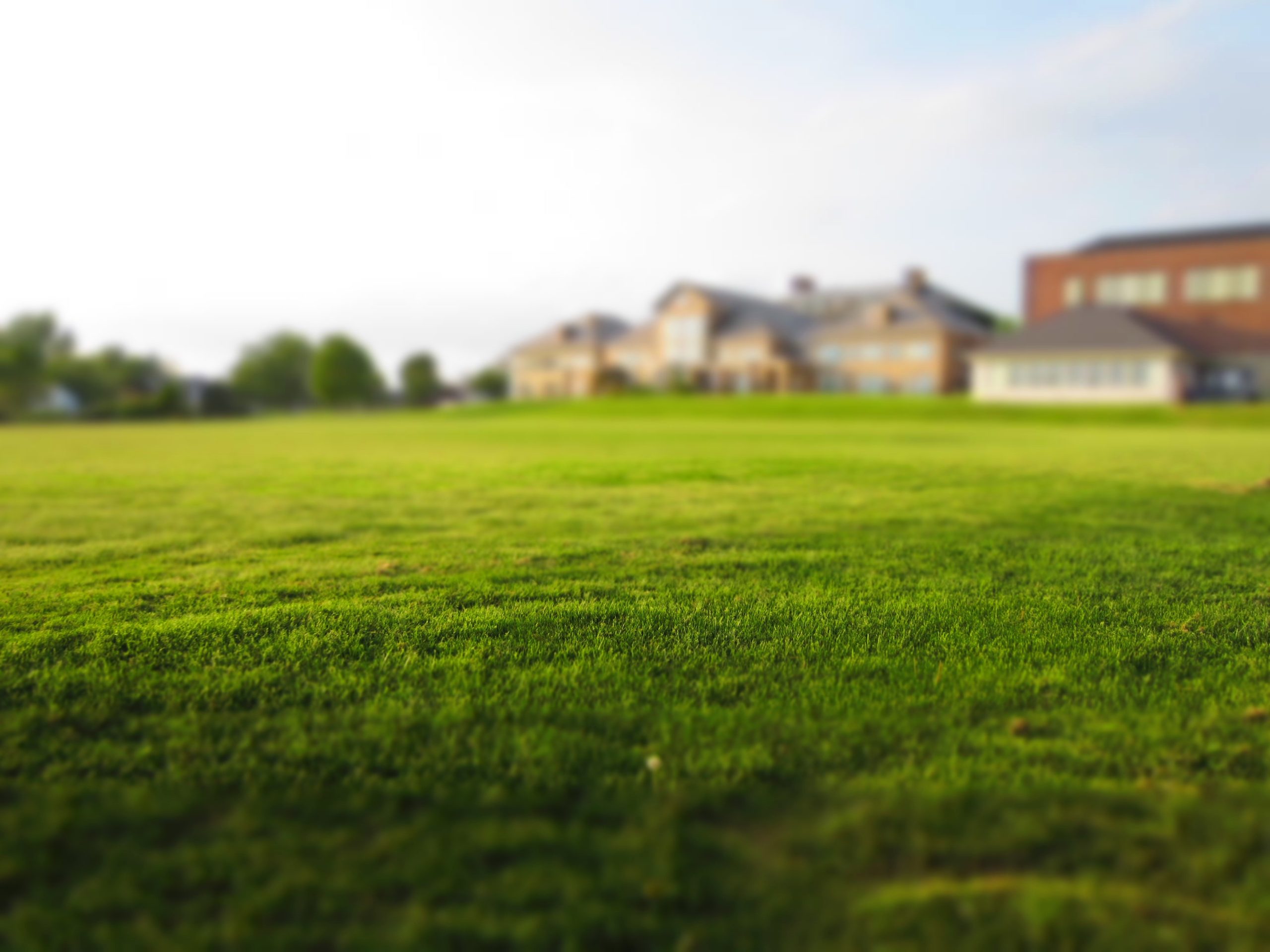 The Benefits of Hydroseeding