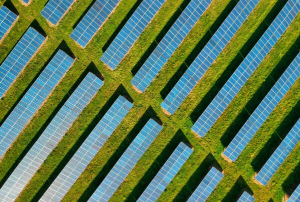 solar farm in green grass field