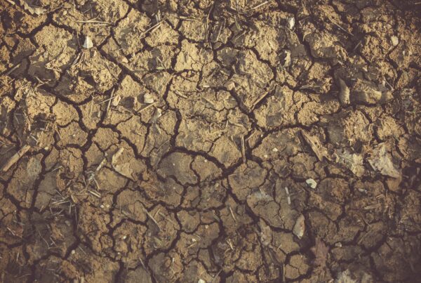 dry, eroded soil