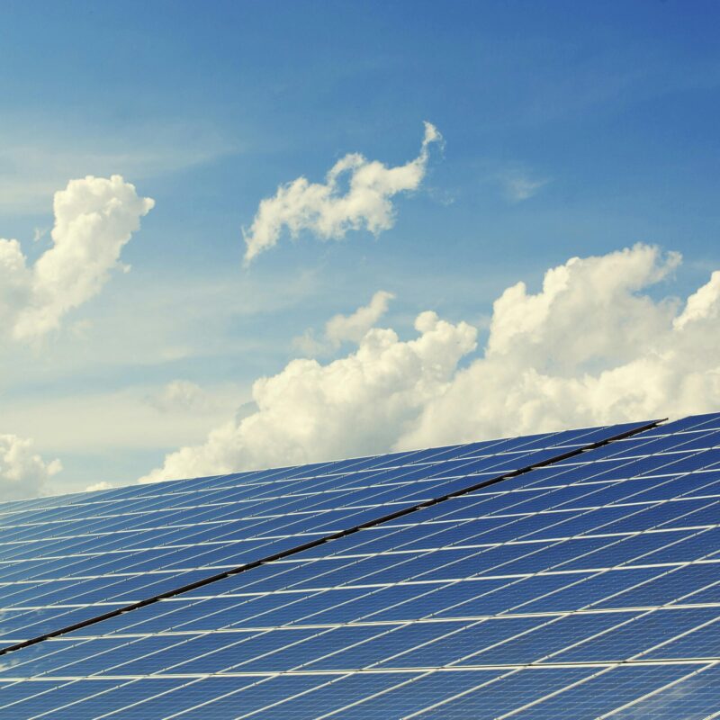 a solar farm full of solar panels collecting clean energy from the sun